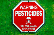 Пестициды обнаружит смартфон